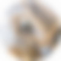 step image